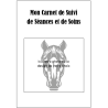 Carnet de suivi de Séances et de Soins