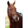 Séances personnalisées du travail de votre cheval