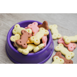 Friandises chiens